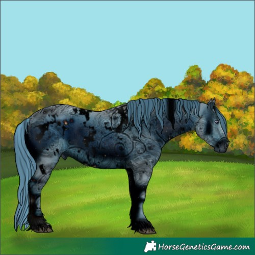 Horse Color:ERROR: UNKNOWN ANOMALY