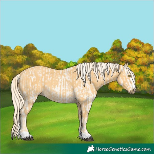 Horse Color:Palomino Leopard  and Palomino 