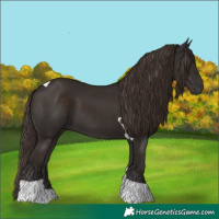 Horse Color:Liver Chestnut Tobiano