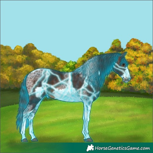 Horse Color:Thunderstruck Brown Tobiano Frame