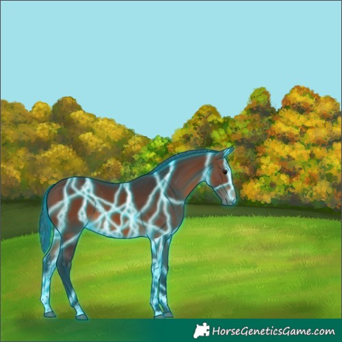 Horse Color:Thunderstruck Brown 