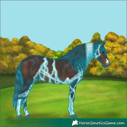 Horse Color:Thunderstruck Brown Tobiano 