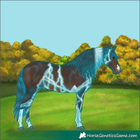 Horse Color:Thunderstruck Brown Tobiano 