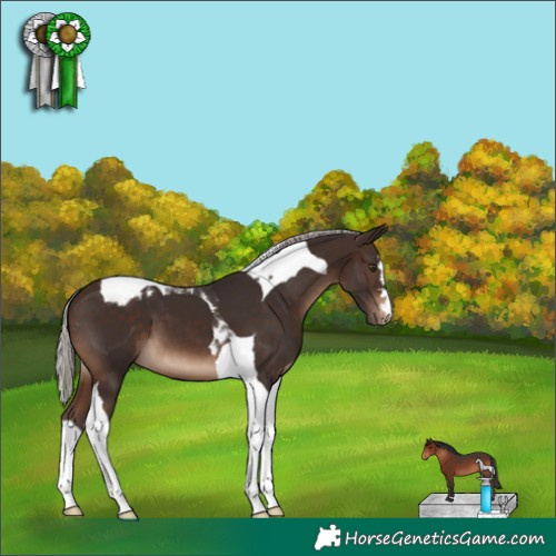 Horse Color:Silver Brown Tobiano Varnish 