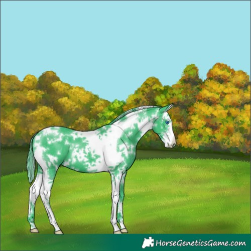 Horse Color:Watercolor White Spotted Liver Chestnut Splash Tobiano 