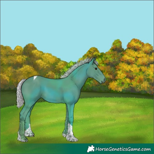 Horse Color:Watercolor Silver Black Tobiano 