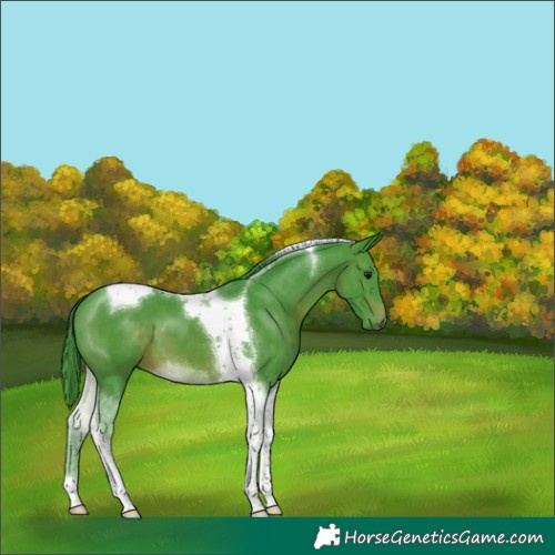 Horse Color:Watercolor Brown Tobiano 