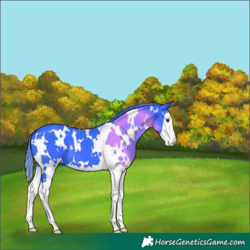 Horse Color:Watercolor White Spotted Liver Chestnut Splash