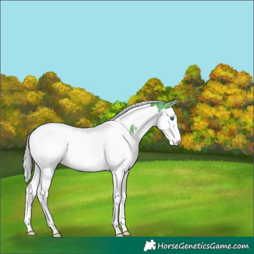 Horse Color:Watercolor White Spotted Silver Brown Splash Tobiano 