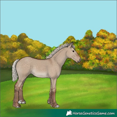 Horse Color:Silver Grullo 