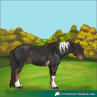 Horse Color:Liver Chestnut Tobiano 