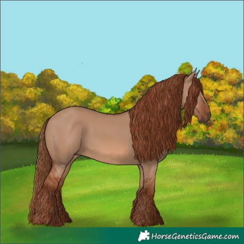 Horse Color:Red Dun