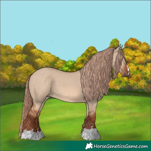 Horse Color:Red Dun 