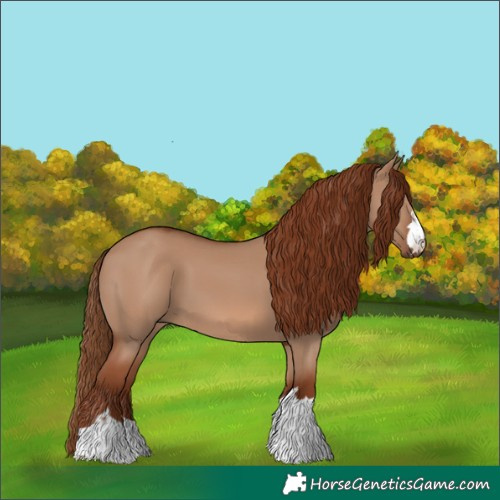 Horse Color:Red Dun