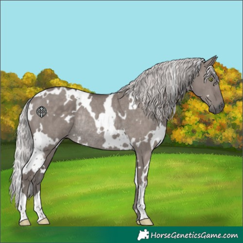 Horse Color:Platinum White Spotted Silver Grullo Rabicano Brindle 