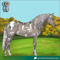 Horse Color:Platinum White Spotted Silver Smoky Grullo Rabicano 
