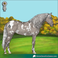 Horse Color:Platinum White Spotted Silver Smoky Grullo Rabicano 