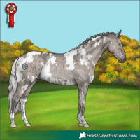 Horse Color:Platinum White Spotted Silver Smoky Grullo Rabicano Brindle 