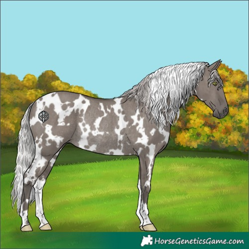Horse Color:Platinum White Spotted Silver Grullo Rabicano Brindle 