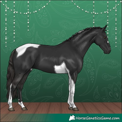 Horse Color:Liver Chestnut Tobiano 