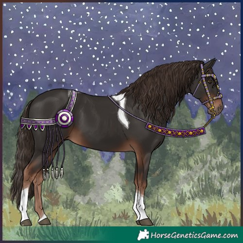Horse Color:Liver Chestnut Tobiano 