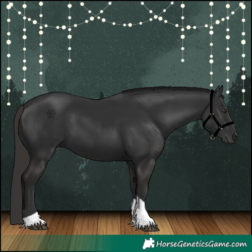 Horse Color:Liver Chestnut Tobiano 