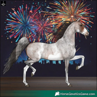 Horse Color:White Spotted Brown Roan Frame 