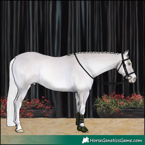 Horse Color:Platinum Cremello Onyx Tobiano 