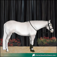 Horse Color:Platinum Cremello Onyx Tobiano