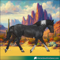 Horse Color:Brown Tobiano 