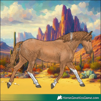 Horse Color:Chestnut Tobiano 