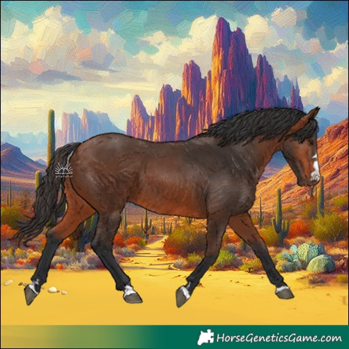 Horse Color:Bay 