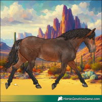 Horse Color:Bay 