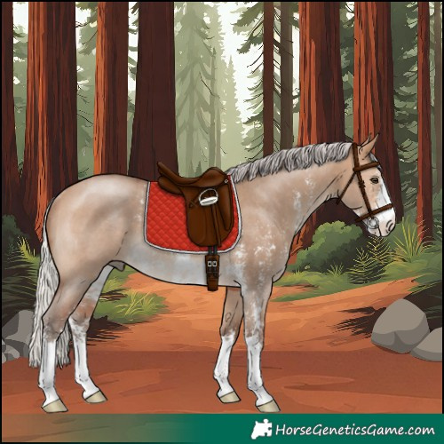 Horse Color:Silver Bay Dun Sabino Rabicano 