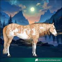 Horse Color:Chestnut Splash Frame and Red Dun Splash Frame