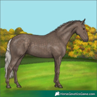 Horse Color:Silver Black 