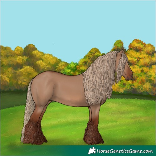 Horse Color:Red Dun 