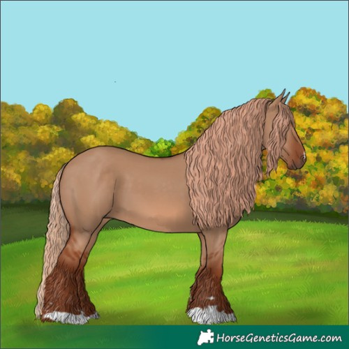 Horse Color:Red Dun 