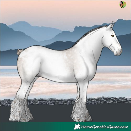 Horse Color:Gray White Spotted Liver Red Dun Varnish 