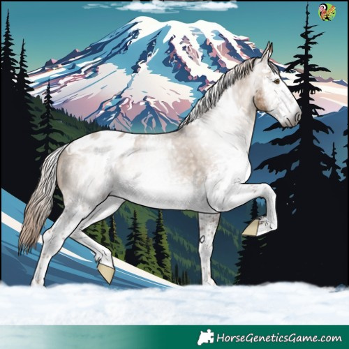 Horse Color:Gray White Spotted Liver Red Dun Appaloosa 
