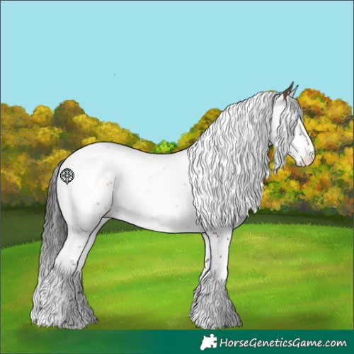 Horse Color:Brown Sabino Splash Tobiano Rabicano 