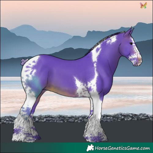 Horse Color:Watercolor Brown Splash Tobiano 