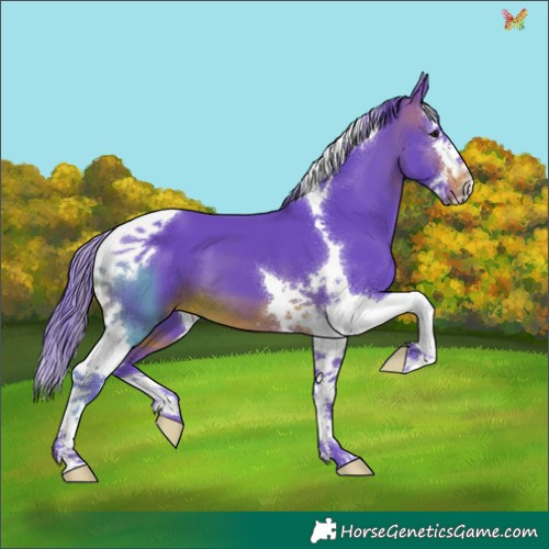 Horse Color:Watercolor Brown Splash Tobiano 