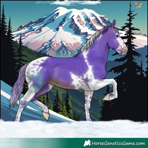 Horse Color:Watercolor Brown Splash Tobiano 