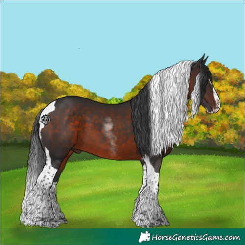 Horse Color:Brown Sabino Splash Tobiano Rabicano 