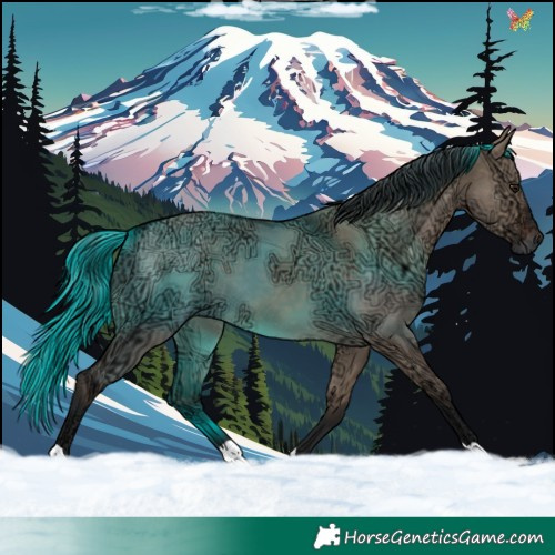 Horse Color:Brown Ice Dun 