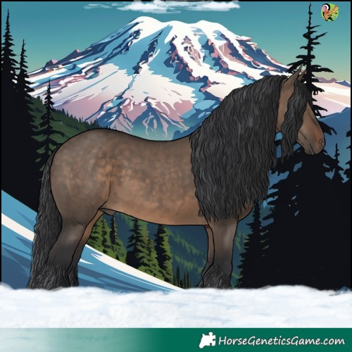 Horse Color:Brown Dun 