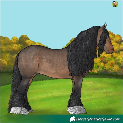 Horse Color:Brown Dun 