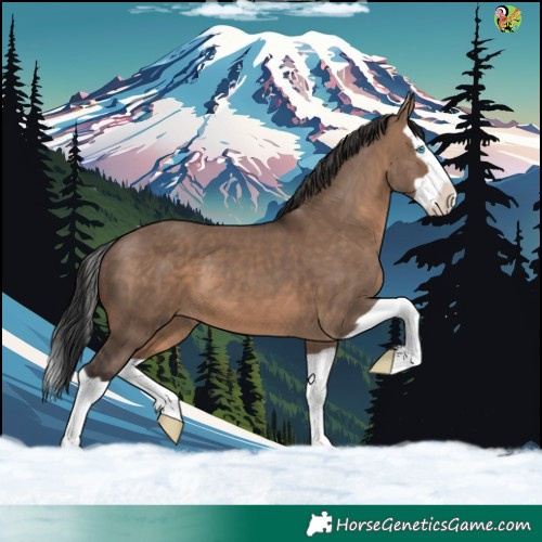 Horse Color:Brown Dun Splash 