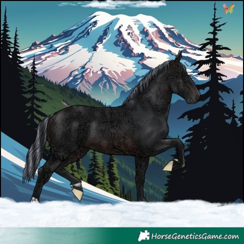 Horse Color:Painted Brown Ice 